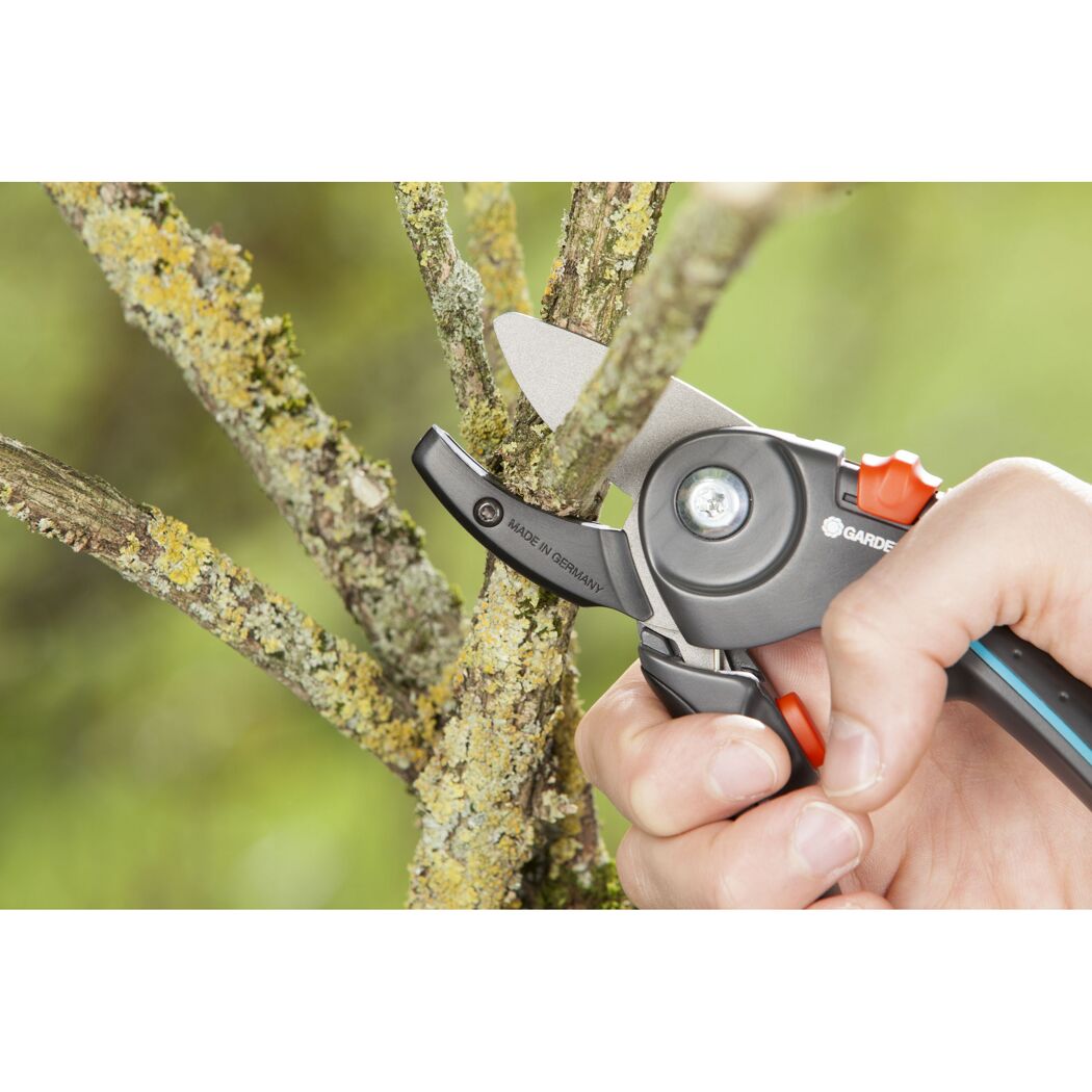 Person schneidet mit Gartenschere einen Ast