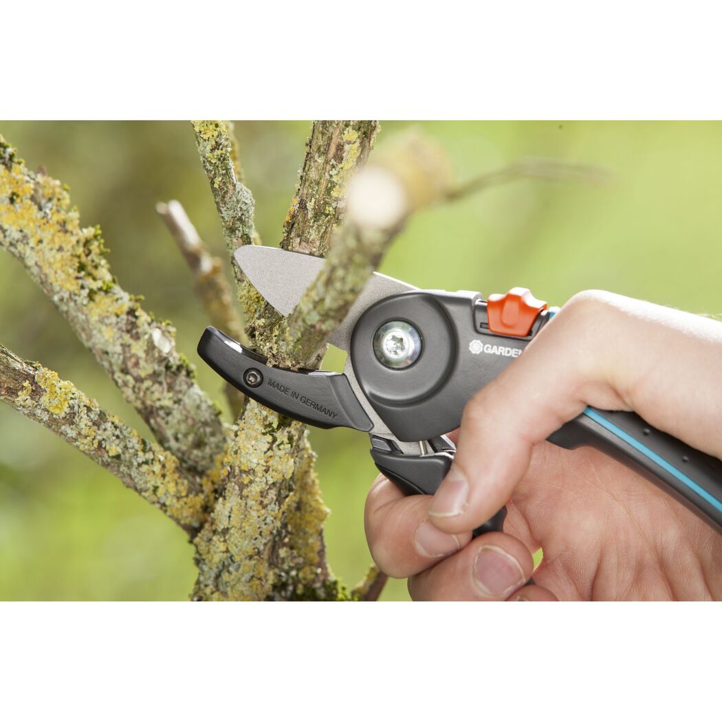 Person schneidet mit Gartenschere einen Ast