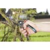 Person schneidet mit Gartenschere einen Ast