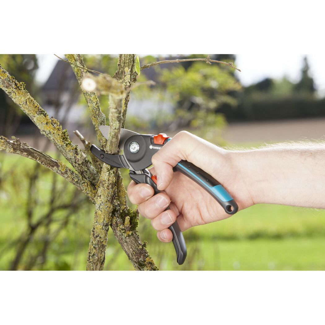 Person schneidet mit Gartenschere einen Ast