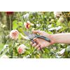 Person schneidet einen Pflanzenstängel mit einer Gartenschere.