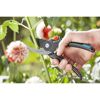 Person schneidet einen Pflanzenstängel mit einer Gartenschere.