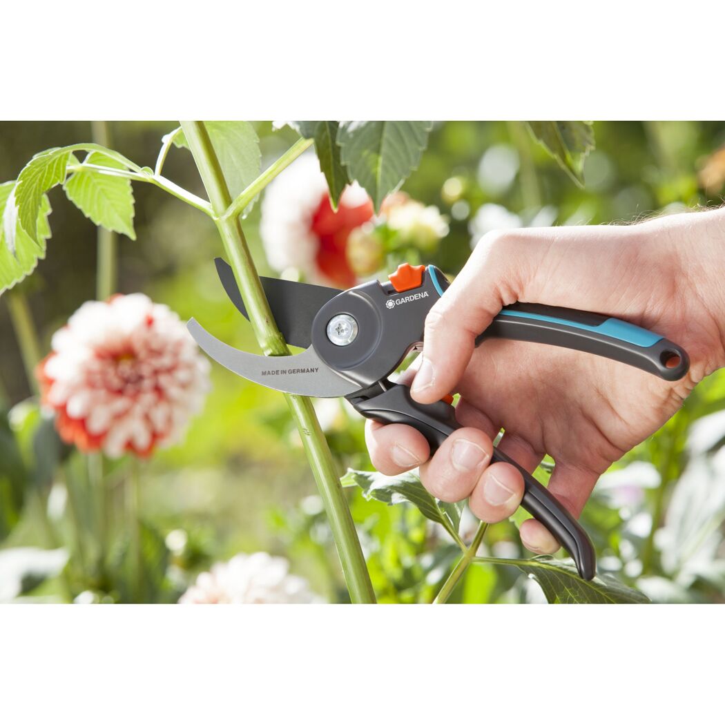 Person schneidet einen Pflanzenstängel mit einer Gartenschere.