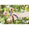 Person schneidet eine Pflanze mit einer Gartenschere.