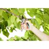 Person schneidet Ast mit Gartenschere