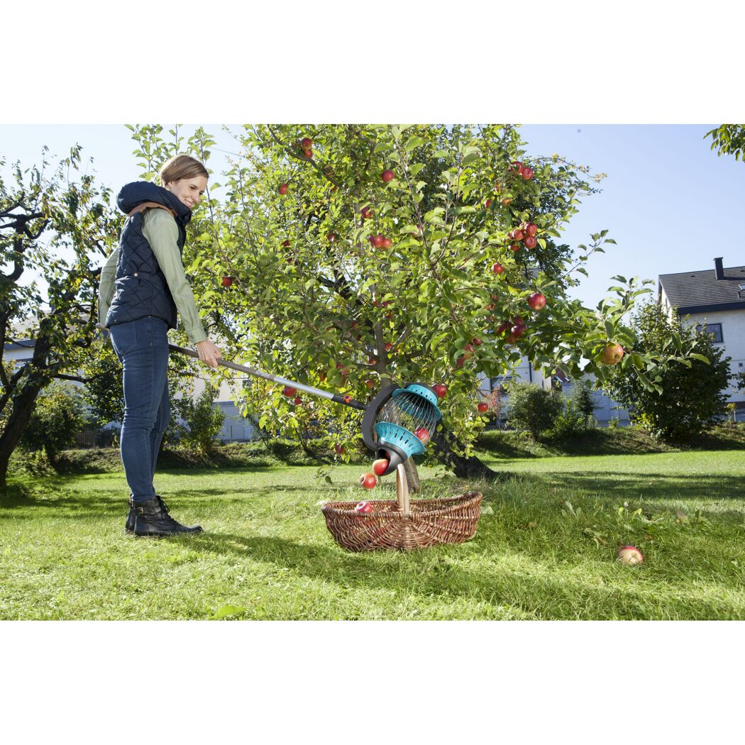 Person erntet Äpfel mit dem Rollsammler.