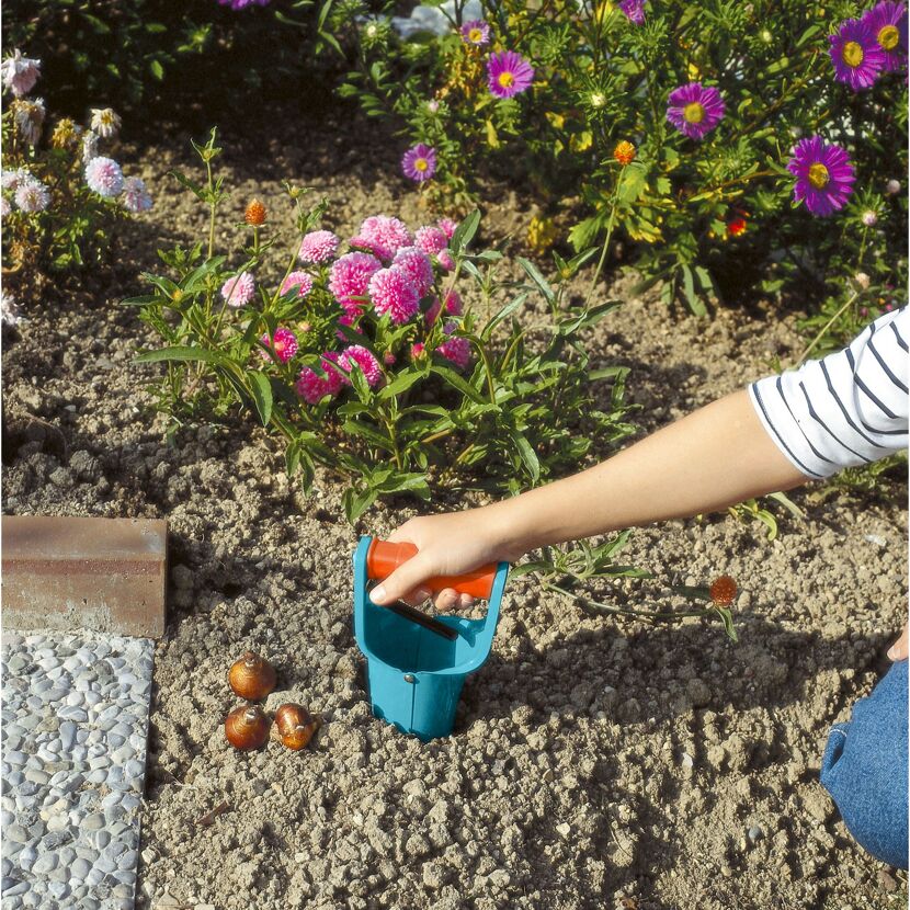 Person benutzt Blumenzwiebelpflanzer