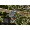 Gardena Baumschneider StarCut 410 plus schneidet Ast