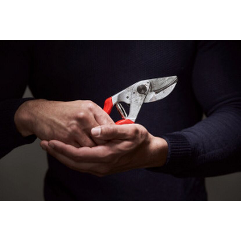 Hände halten eine Baumschere Felco 32