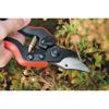 Person schneidet eine Pflanze mit der Baumschere Felco 160 S