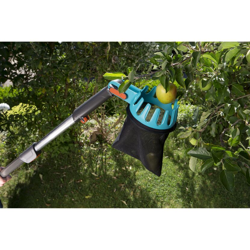 Obstpflücker pflückt Apfel vom Baum