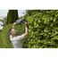 Person schneidet Hecke mit GARDENA Akku-Heckenschere
