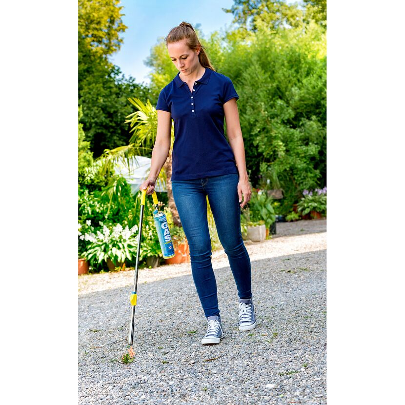 Person entfernt Unkraut mit dem Thermoflamm bio Classic PLUS