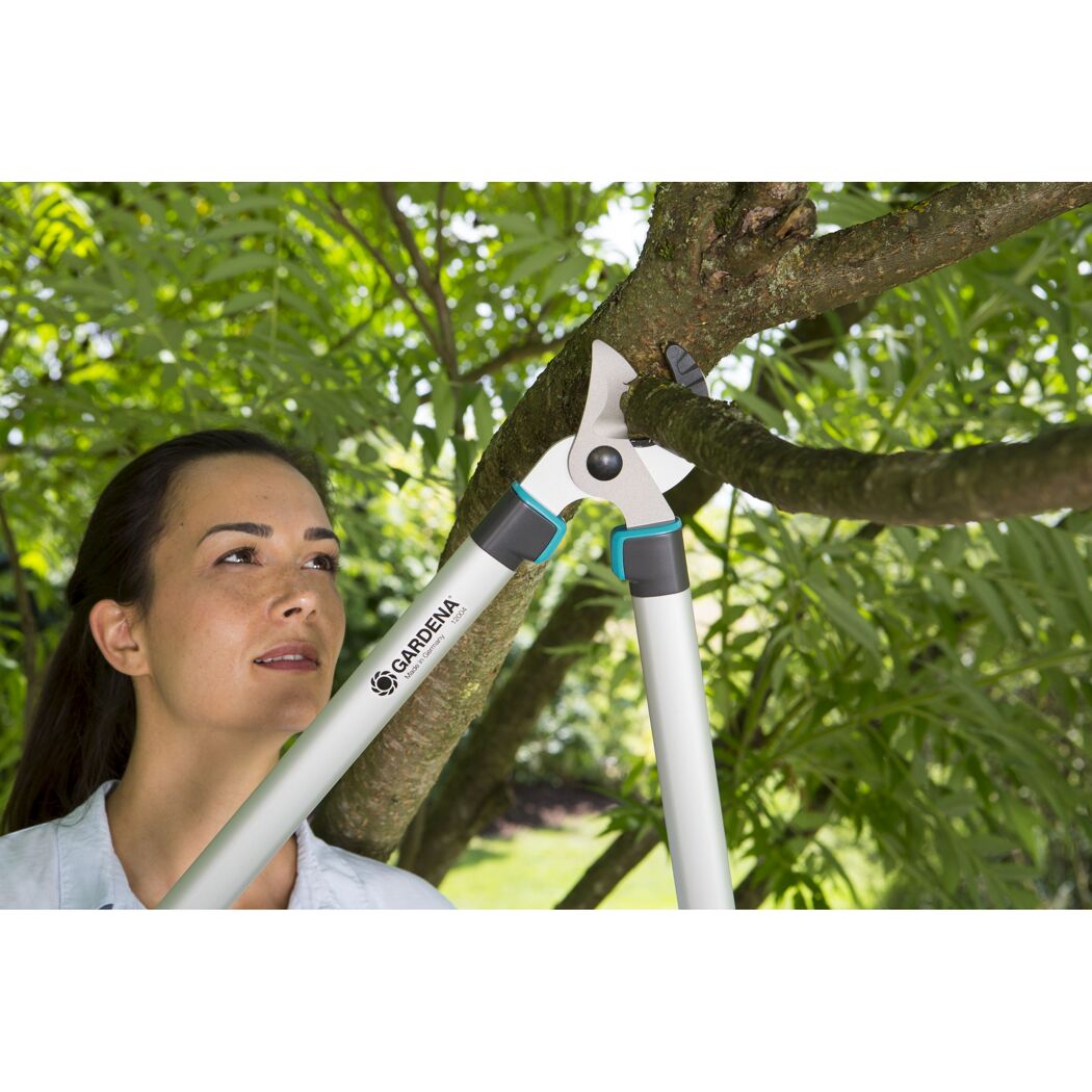 Person schneidet mit GARDENA Astschere einen Ast