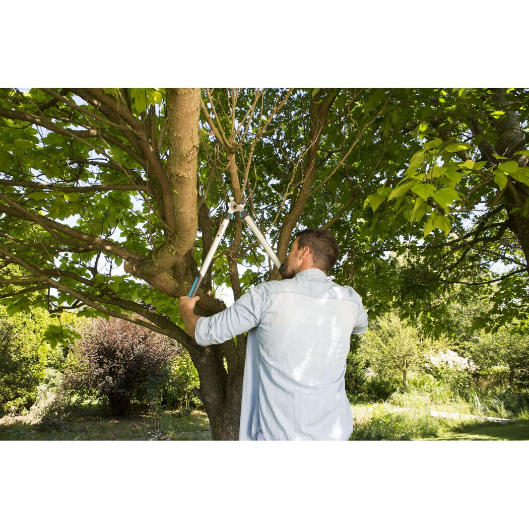 Person schneidet mit Gartenschere Äste eines Baumes