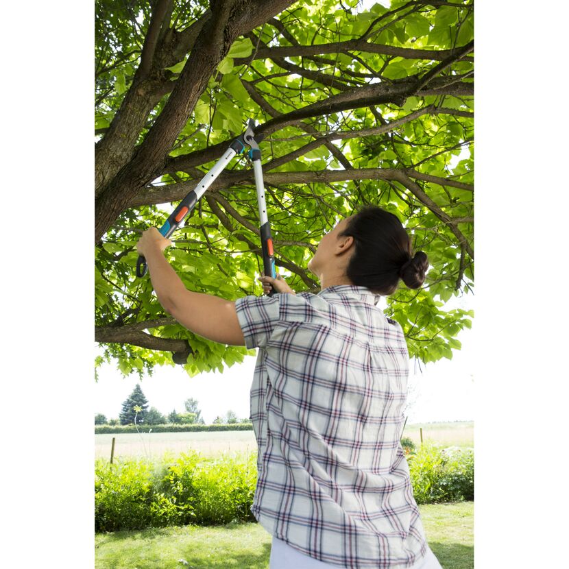 Astschere 'TeleCut' Bypass 52-67 cm