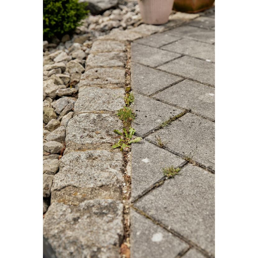Unkraut zwischen Terrassenplatten und Randsteinen