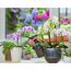 Person besprüht Orchideen mit Pumpsprühflasche von GARDENA.