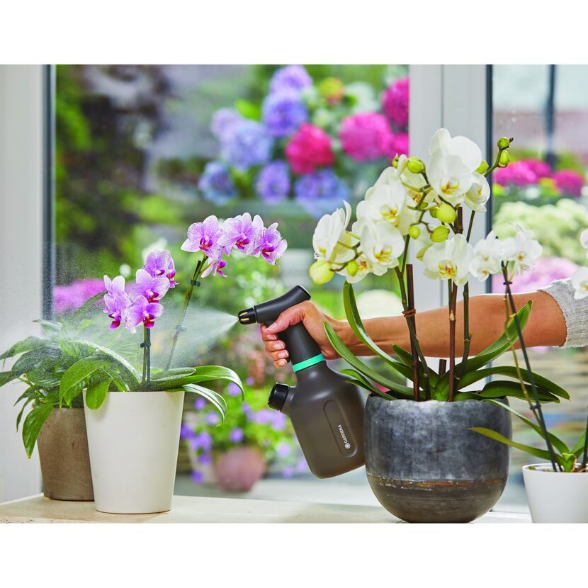 Person besprüht Orchideen mit Pumpsprühflasche von GARDENA.