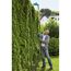 Person schneidet Hecke mit Akku-Heckenschere