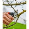 Person schneidet einen Ast mit einer Gartenschere