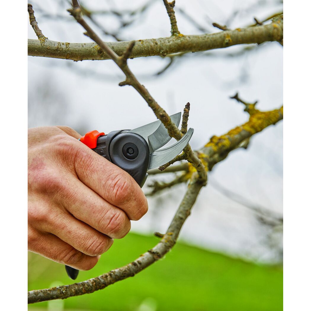 Person schneidet einen Ast mit einer Gartenschere