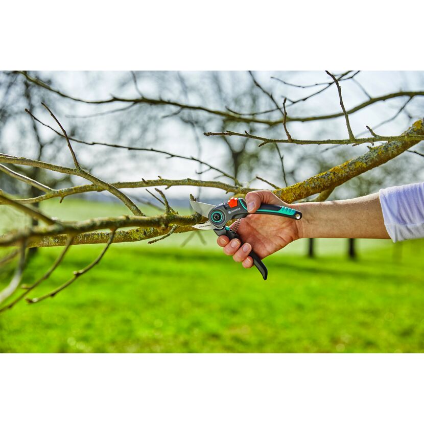 Person schneidet mit Gartenschere GARDENA ExpertCut einen Ast