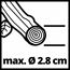 Ast max. Durchmesser 2,8 cm