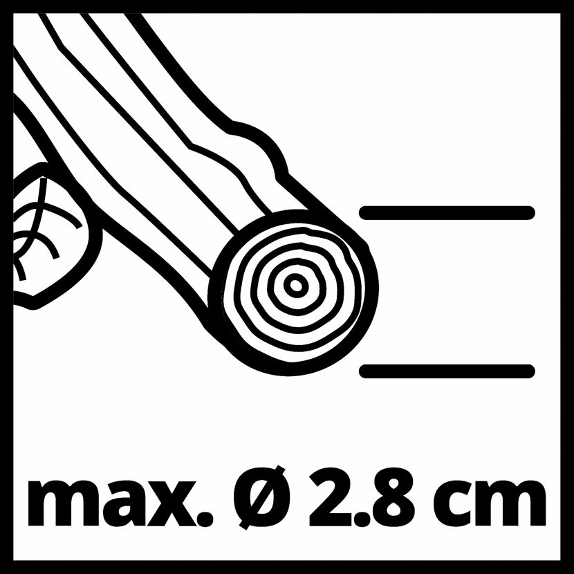 Ast max. Durchmesser 2,8 cm