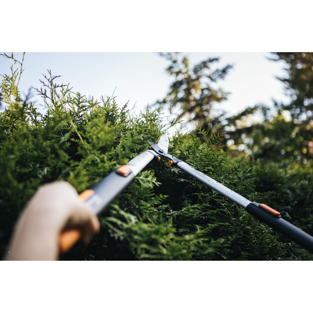Person schneidet Hecke mit Teleskopheckenschere