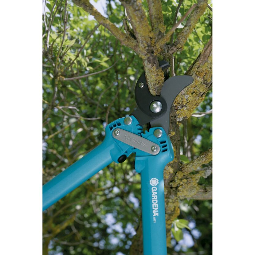 Gardena Astschere Comfort beim Schneiden eines Astes