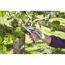 Person schneidet mit Gartenschere einen Ast