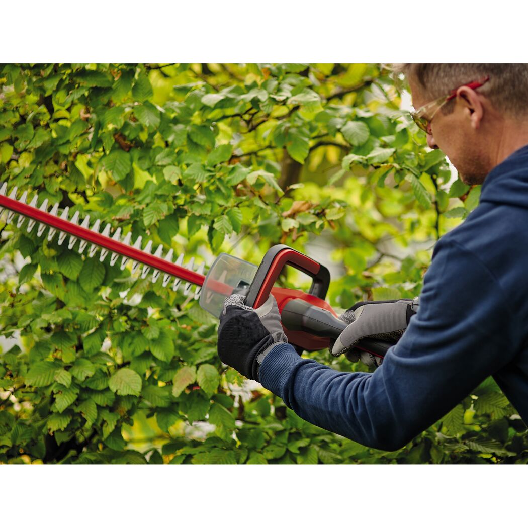 Person schneidet Hecke mit Akku-Heckenschere