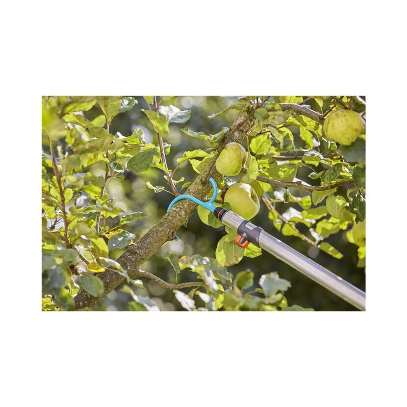 Apfelpflücken mit dem GARDENA combisystem-Asthaken