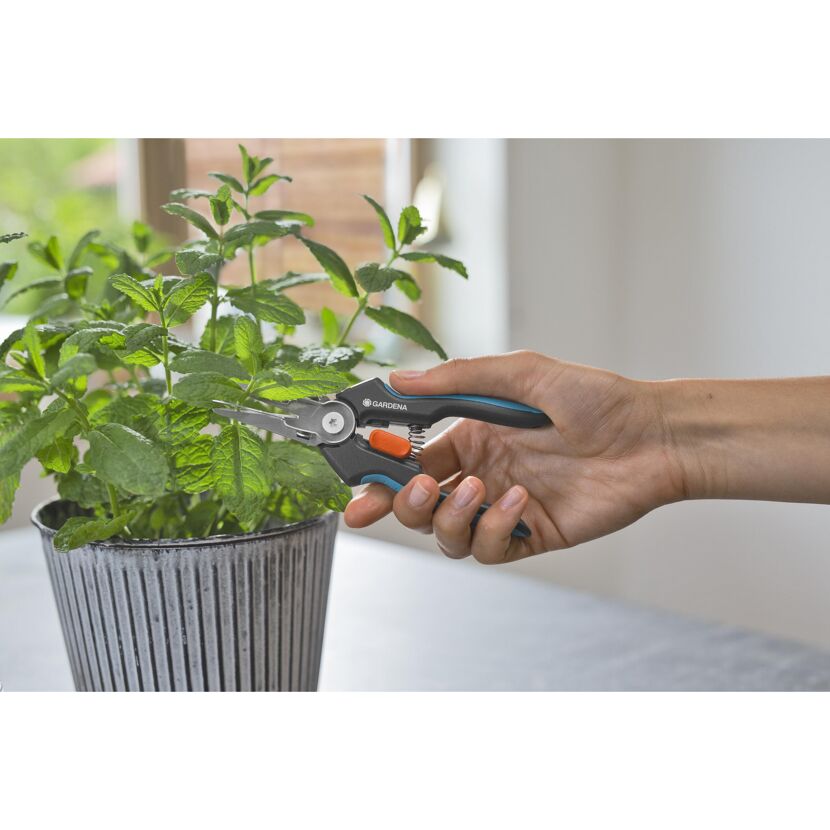 Kräuter mit GARDENA GripCut schneiden