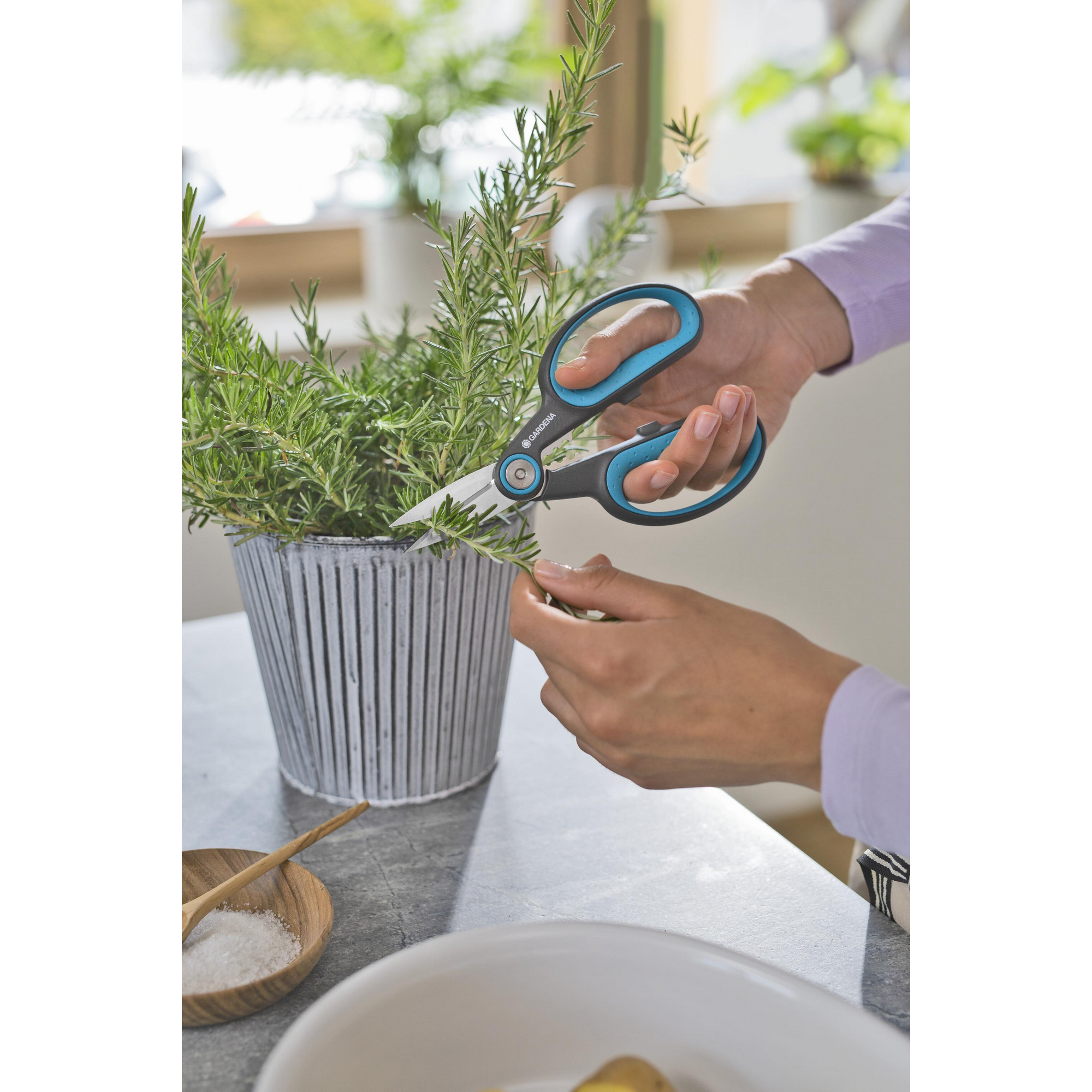 Gartenschere 'HerbCut' mit Holster + product picture