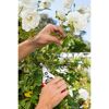 Person schneidet mit einer FELCO Gartenschere weiße Rosen