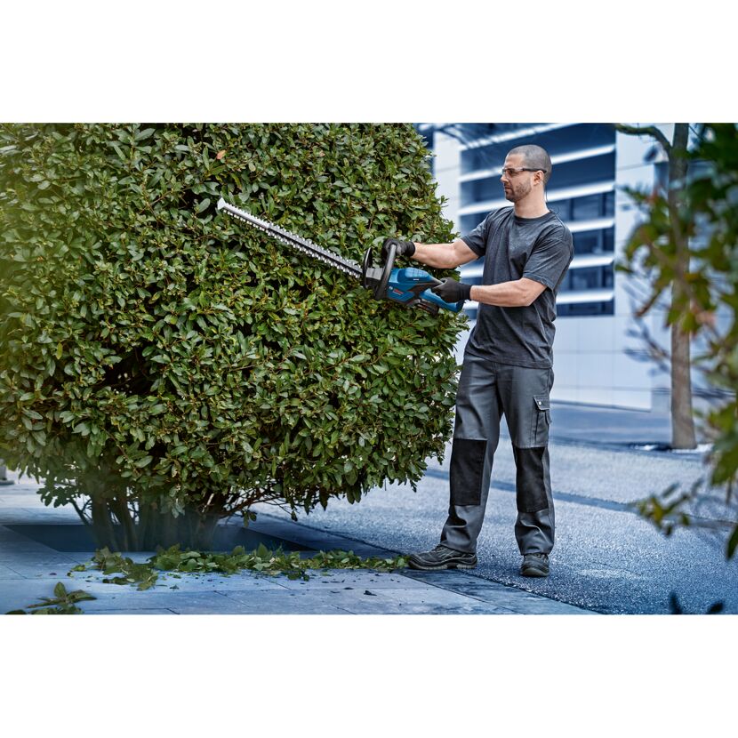 Person schneidet Hecke mit Heckenschere