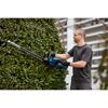 Person schneidet Hecke mit Heckenschere