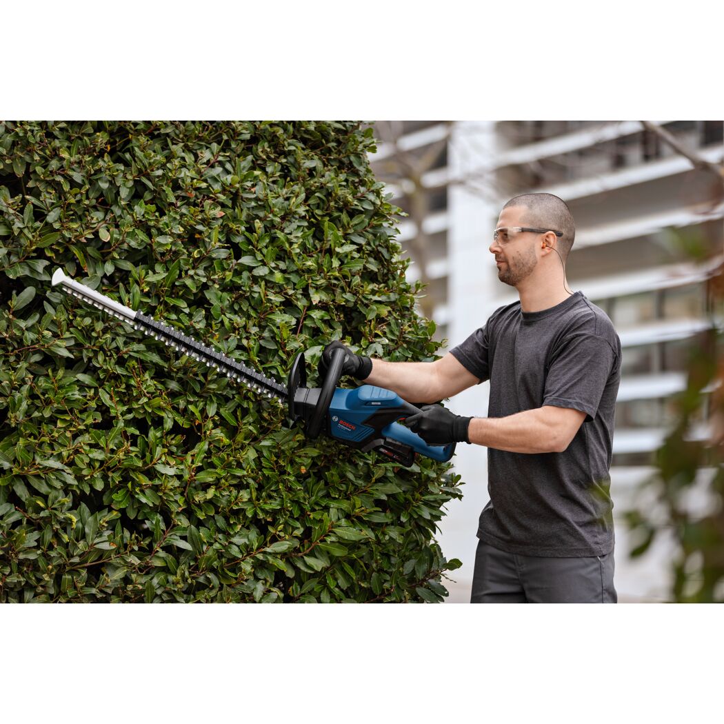 Person schneidet Hecke mit Heckenschere