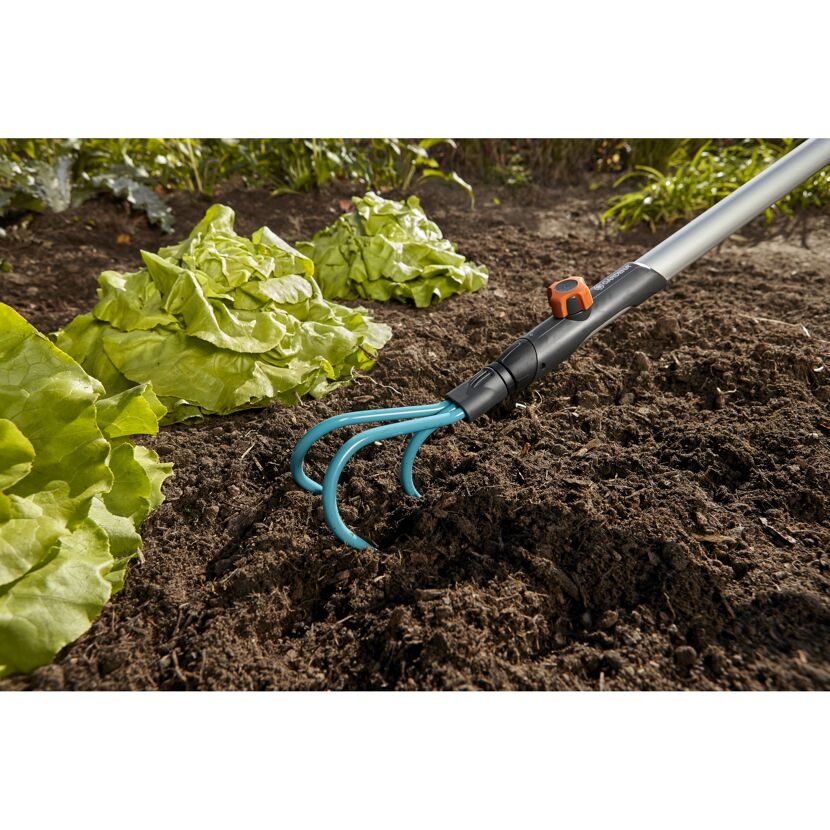 Eine Person lockert mit einem Grubber die Erde neben Salatpflanzen auf.
