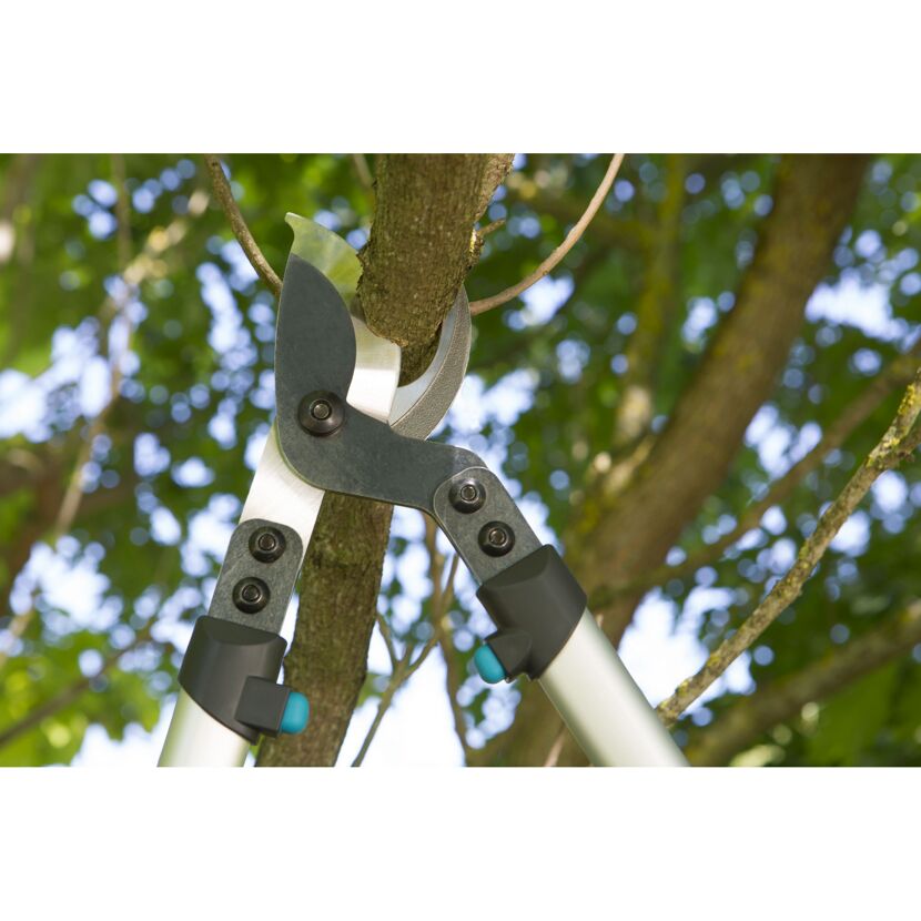 Astschere BL 130 beim Schneiden eines Astes