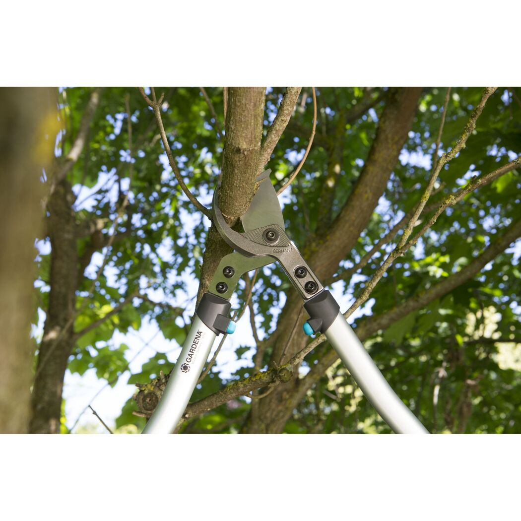 Gardena Astschere beim Schneiden eines Astes