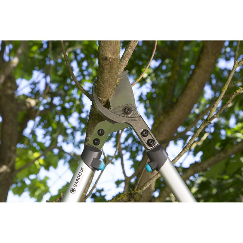 Gardena Astschere beim Schneiden eines Astes