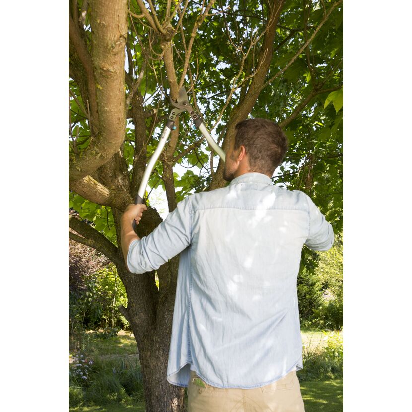 Person schneidet mit Astschere einen Baum
