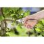 Person schneidet Ast mit Gartenschere