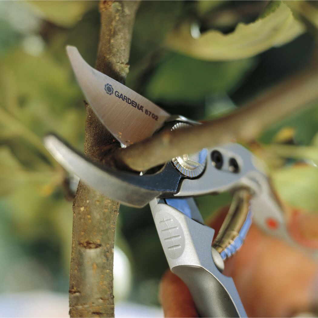 Ast wird mit Gartenschere geschnitten