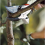 Premium-Gartenschere 'BP 50'