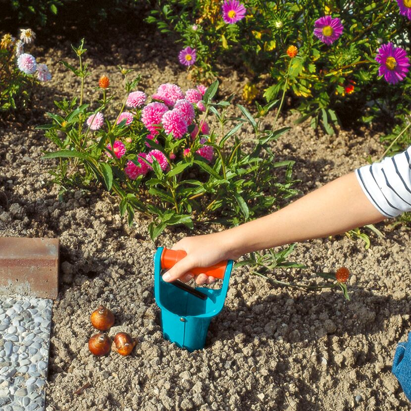 Person benutzt Blumenzwiebelpflanzer