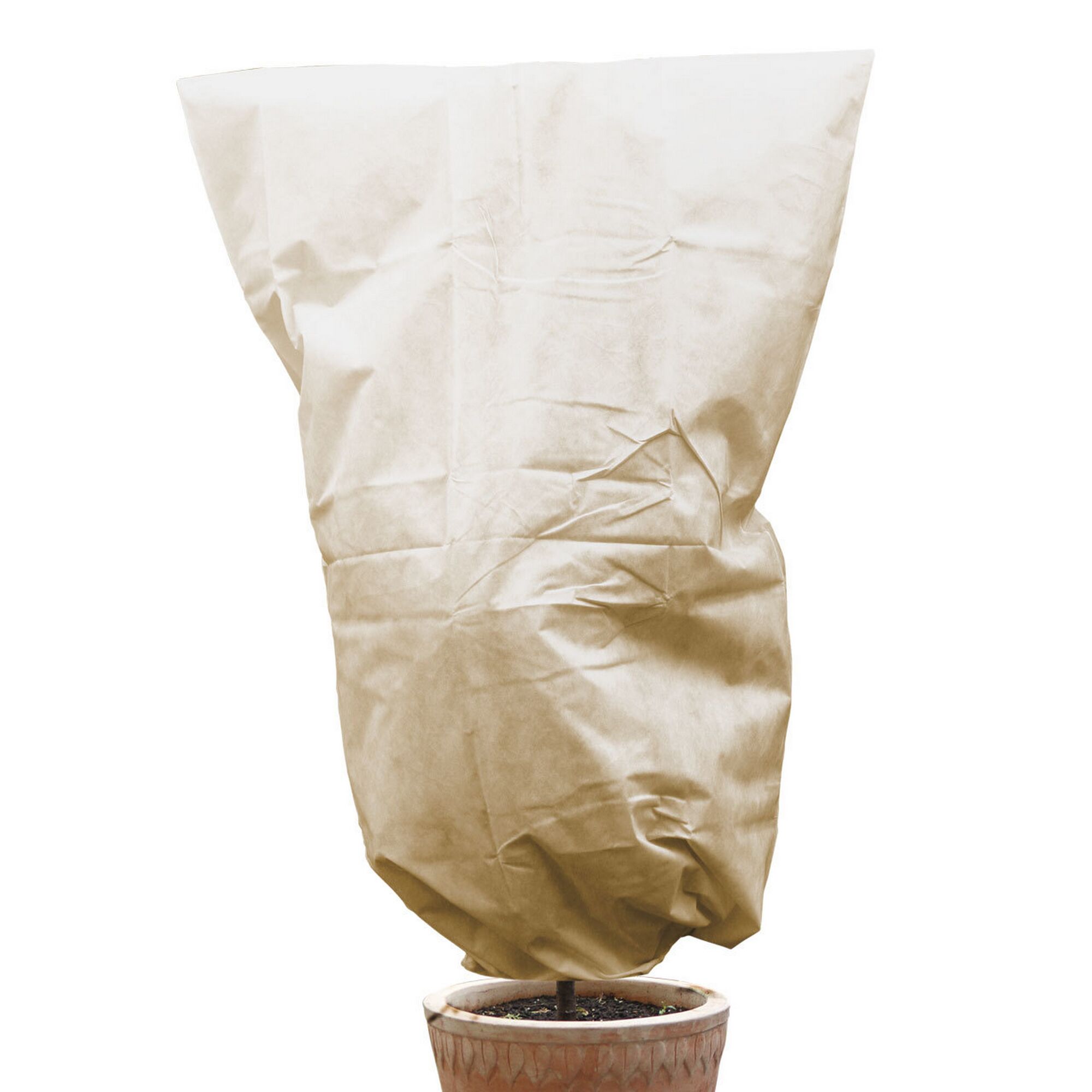 Pflanze mit Vlieshaube